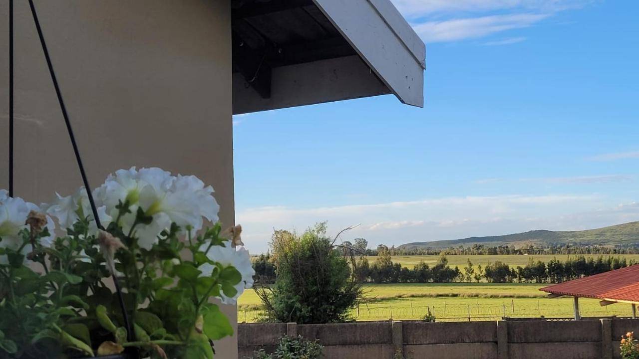 Delux Guesthouse Volksrust 외부 사진